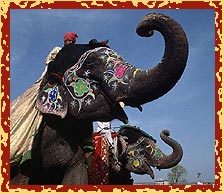 Elephant Festival, Rajasthan Travel Packages
